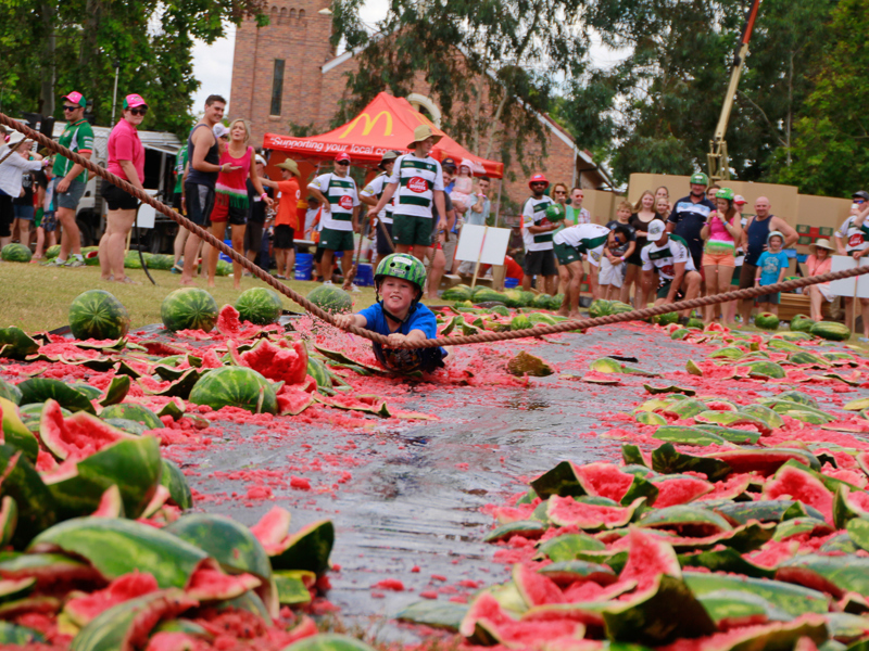 Chinchilla Melon Festival GET YOUR MELON ON!